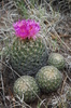 2008-07-08 South Fork Trail #97 :: Tortoise_Hiker