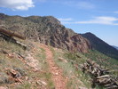 photo thumbnail #3