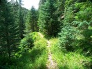 photo thumbnail #9