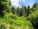 photo thumbnail #10