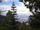 photo thumbnail #11
