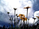 photo thumbnail #12