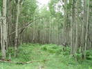 photo thumbnail #1