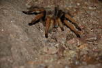 photo thumbnail #1