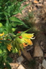 photo thumbnail #11