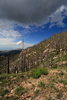photo thumbnail #14