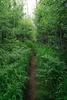 photo thumbnail #15