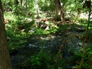 photo thumbnail #14