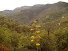 photo thumbnail #5