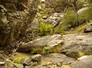 photo thumbnail #7