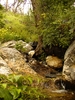 photo thumbnail #10