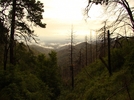 photo thumbnail #11