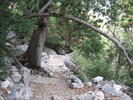 photo thumbnail #7