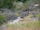 photo thumbnail #10