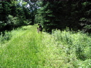 photo thumbnail #1