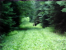 photo thumbnail #2