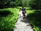 photo thumbnail #5