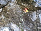 photo thumbnail #14