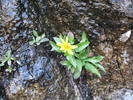 photo thumbnail #15