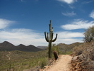 photo thumbnail #4