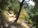photo thumbnail #1