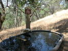photo thumbnail #8