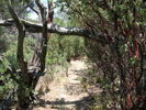 photo thumbnail #14