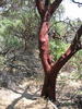 photo thumbnail #15