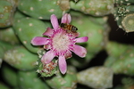 photo thumbnail #4