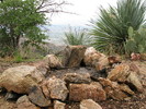 photo thumbnail #5