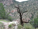 photo thumbnail #8