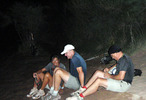 photo thumbnail #3
