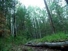 photo thumbnail #5