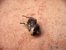 photo thumbnail #13
