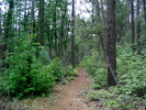 photo thumbnail #2