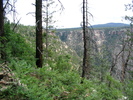 photo thumbnail #5