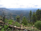 photo thumbnail #6