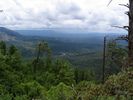 photo thumbnail #7