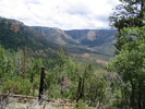 photo thumbnail #8