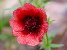 photo thumbnail #13
