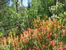 photo thumbnail #2