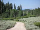 photo thumbnail #4