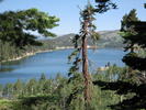 photo thumbnail #6