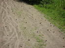 photo thumbnail #12