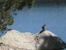photo thumbnail #15