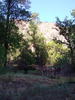 photo thumbnail #8