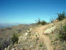 photo thumbnail #2