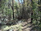 photo thumbnail #7