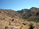 photo thumbnail #8