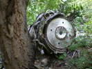 photo thumbnail #7